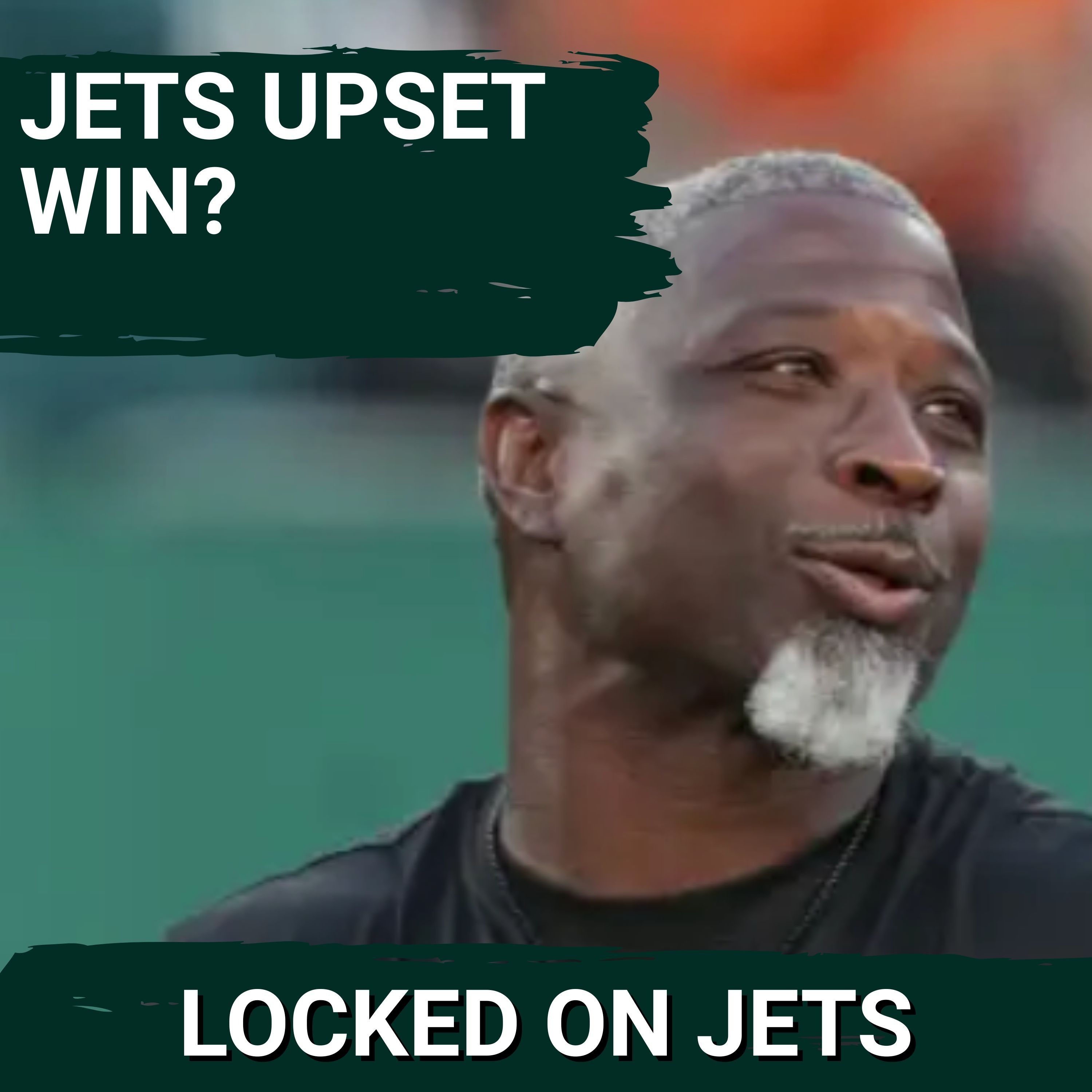 The Depressed Jets Fan (@thedepressedjetsfan) • Instagram photos and videos, image size:3000x3000