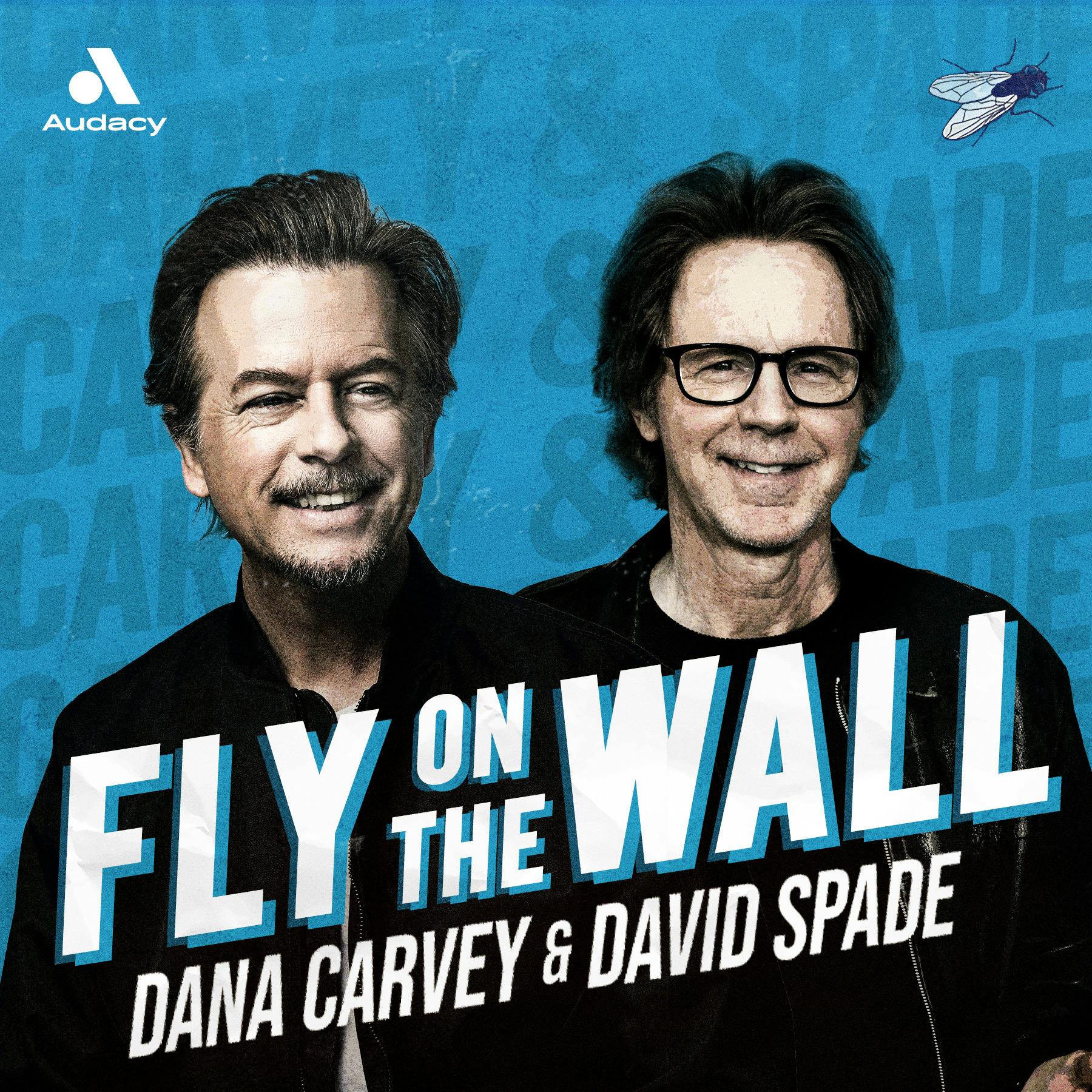 Fly on the Wall Podcast